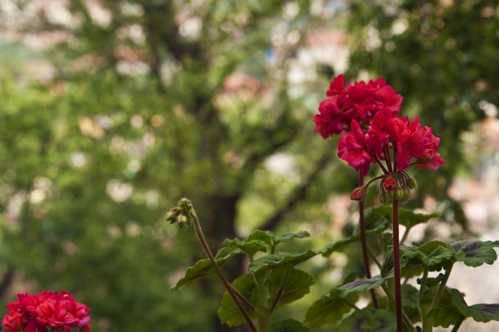 gzel bir gne uyanmak