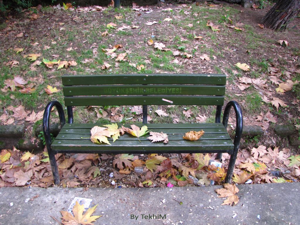 Sonbahar & Bank & Yanlzlk