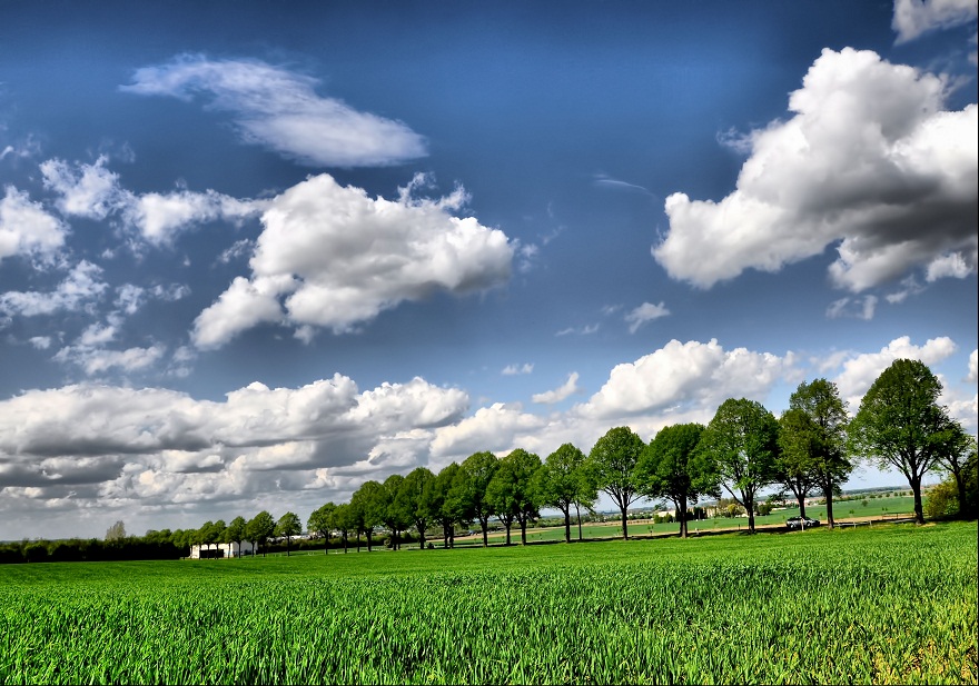 Goslarsche Landstrae  Hildesheim