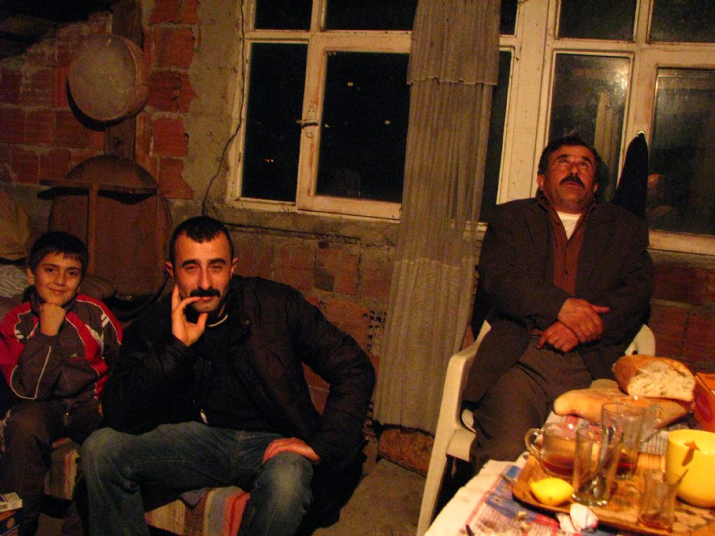 �at�da hamsi organizasyonu