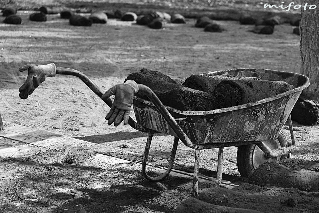 El arabasnn elleri...