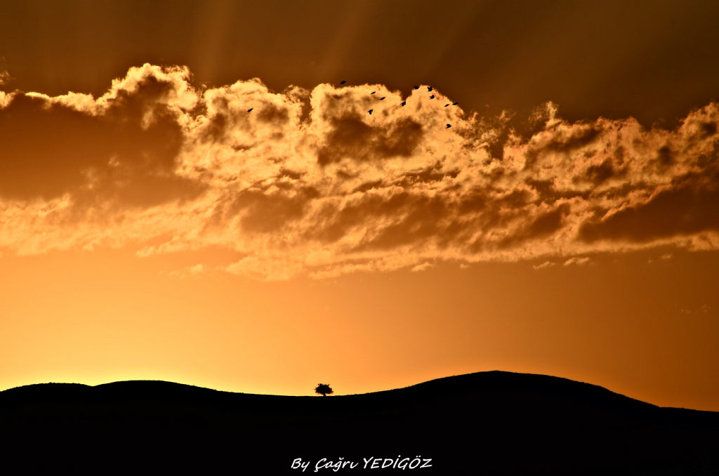 Sivas'ta gnbatm.....