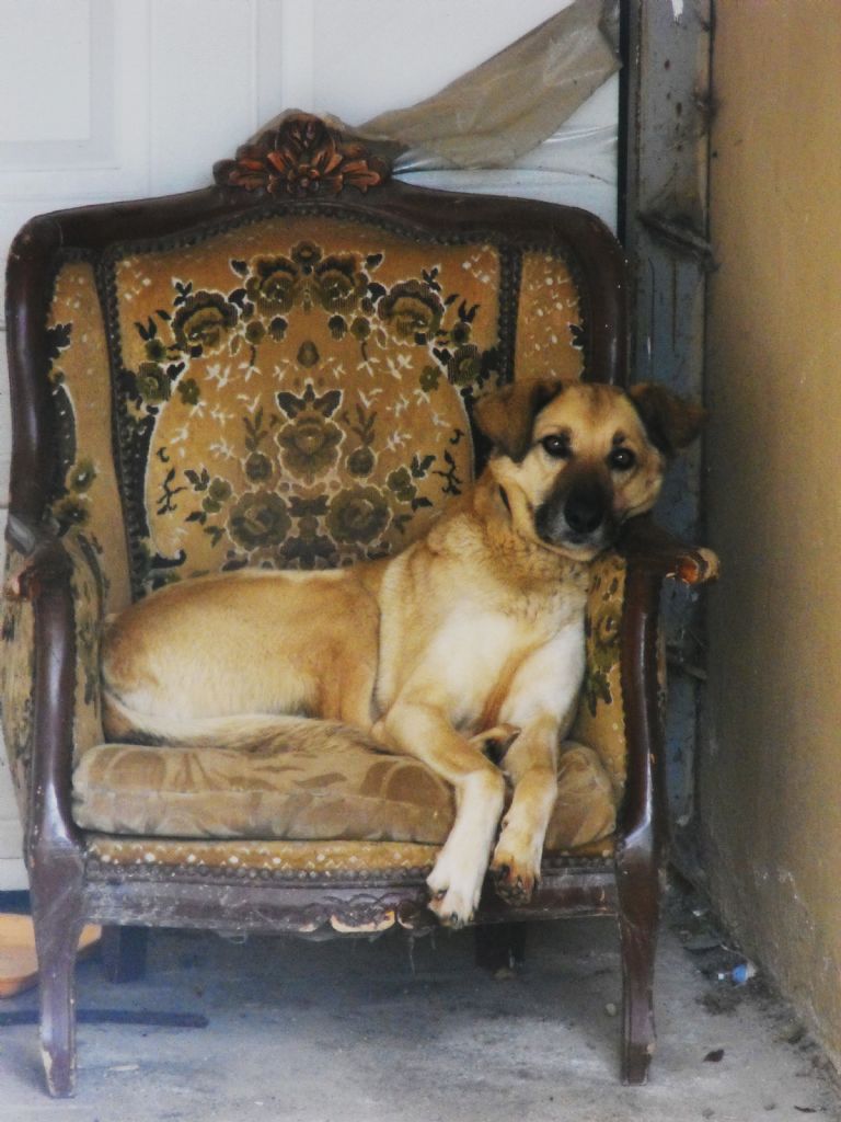 Benim keyfim yerinde