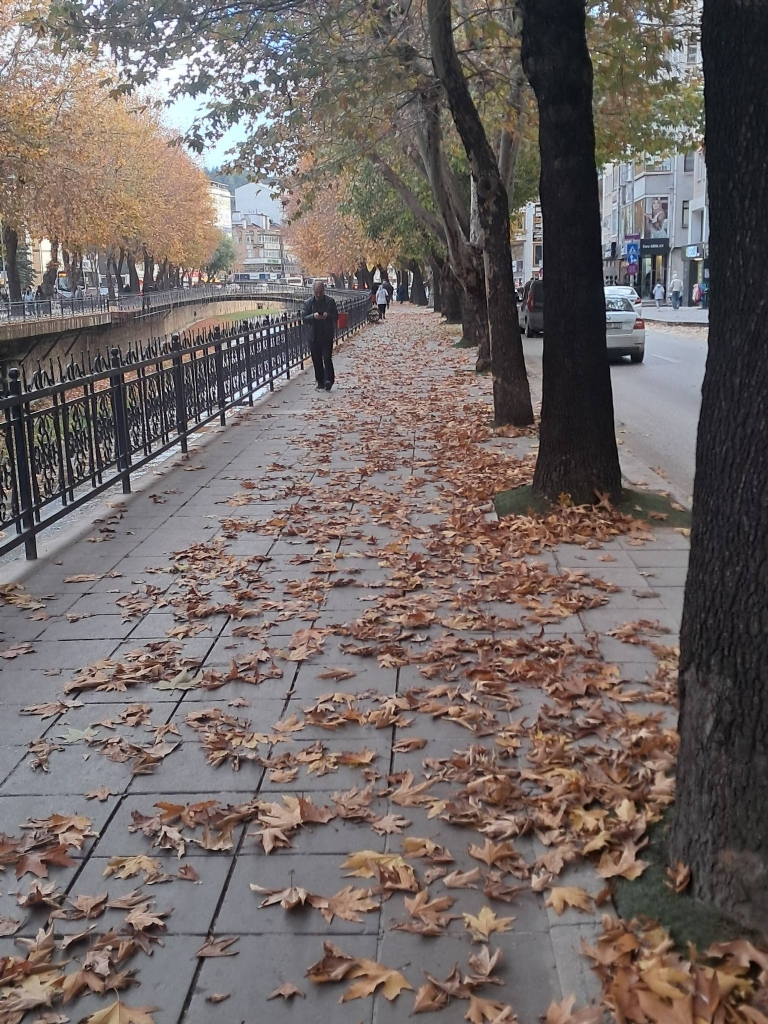 Kastamonu'da Sonbahar