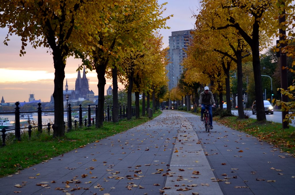 Yapraklar Dklr Ben Giderim