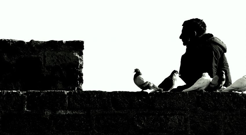 derin dsnce(onur gkkua zarazara58)