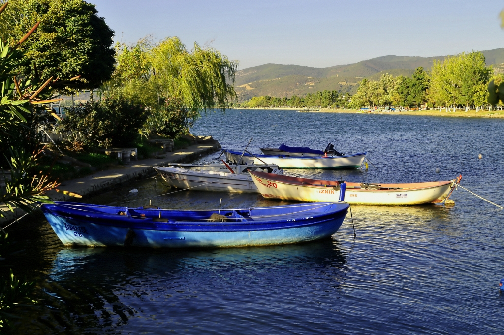 yeil ile mavinin uyumluu