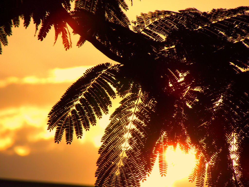 G�n bat�m� ve aga�