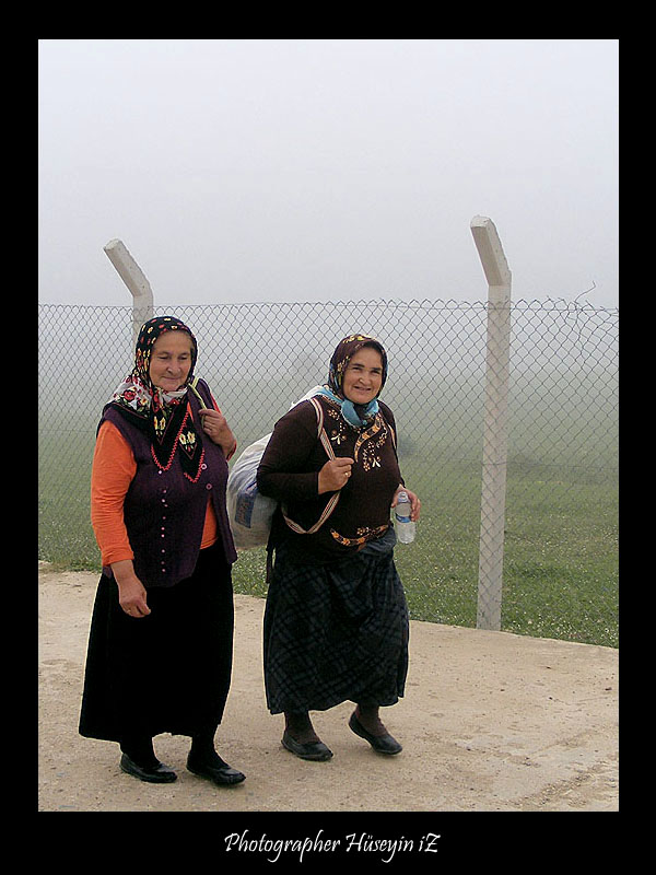 Yayla Gnleri