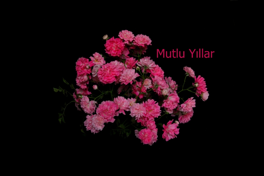 Mutlu Yllar