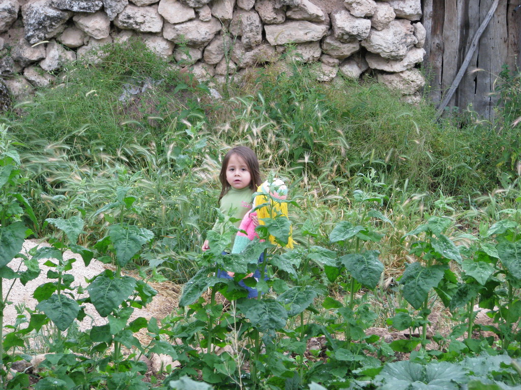 kırlarda 