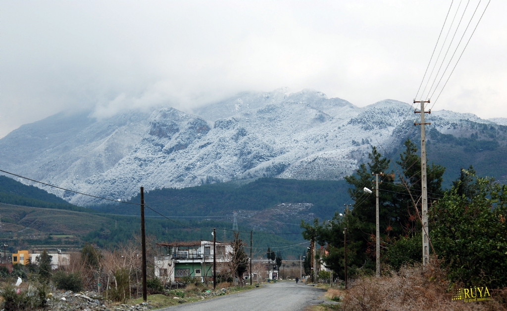 HATAY DRTYOL zerli mahallesi