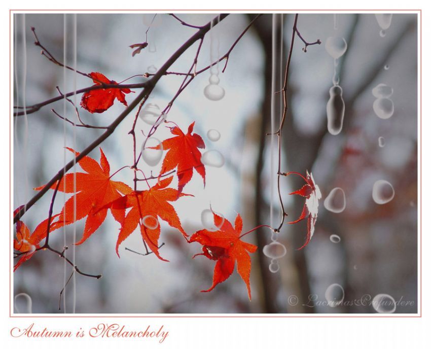 Autumn is Melancholy