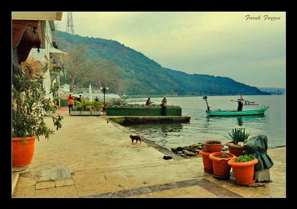 BO�AZ KARELER�NDEN-2