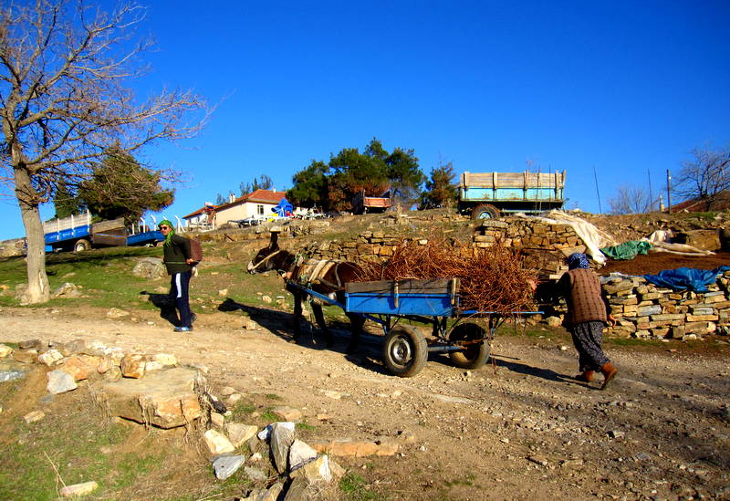 al Bahadnlar kynde hayat