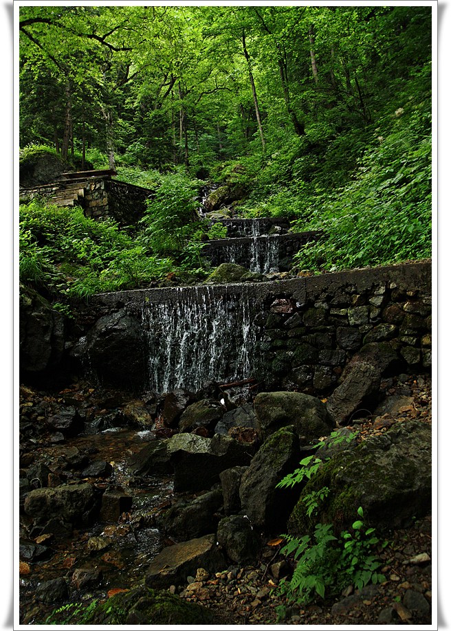 40 kez sylersek belki gelir:))