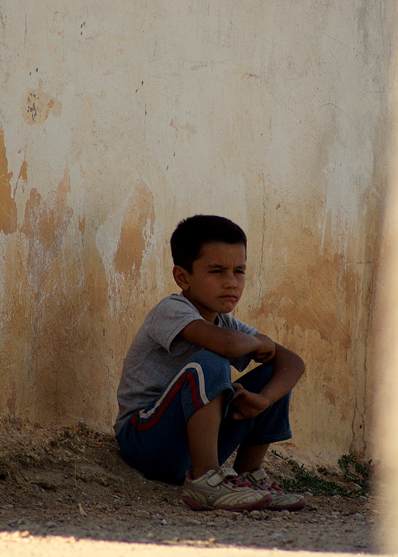 AL� RIZA'NIN D��LER�