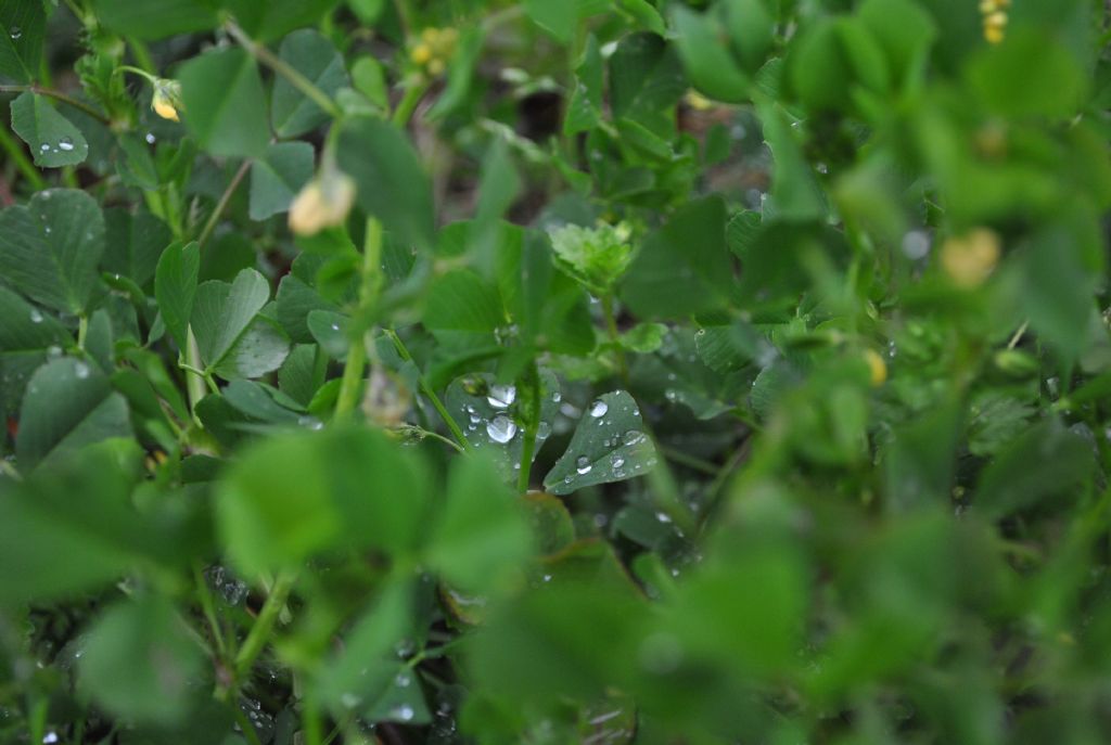 ��erisinde Olsam Ke�ke