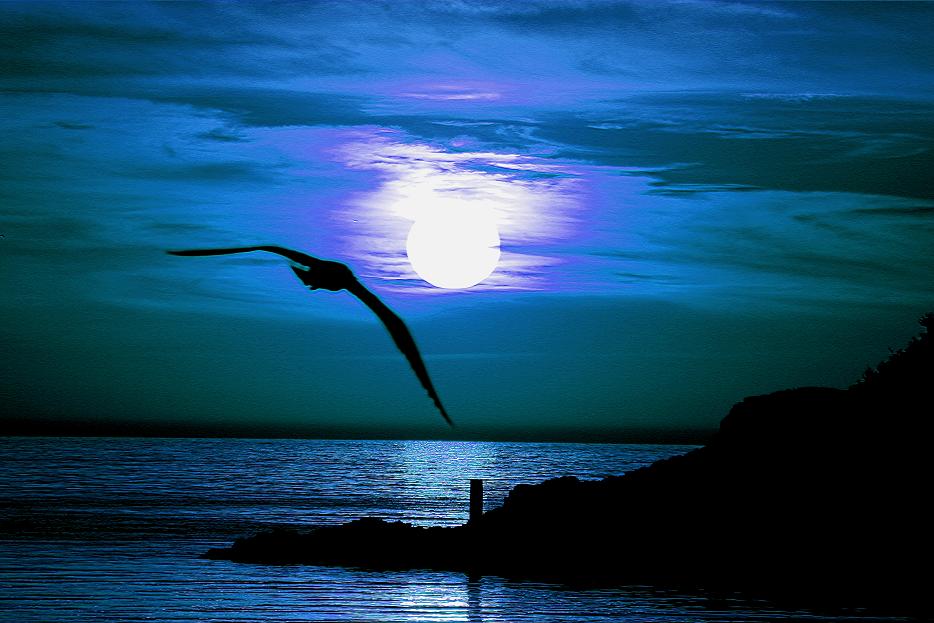 G�ne�'e yolculuk