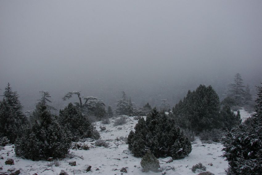 Puslu...Karl�...Iss�z...Ama huzur verici...