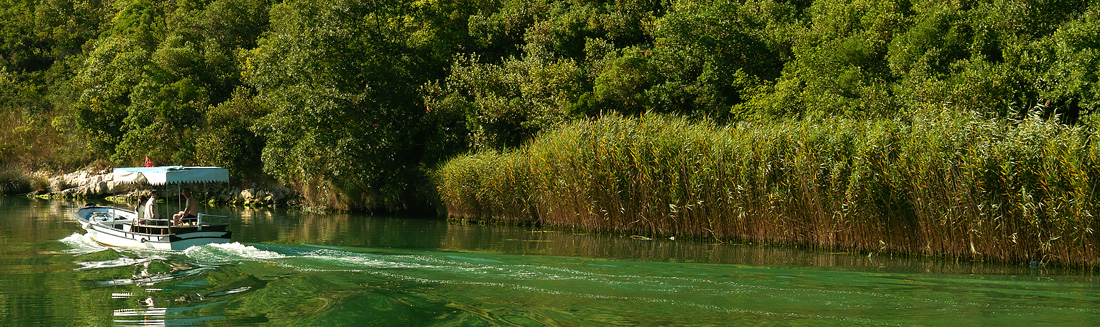 ye�il ve di�erleri