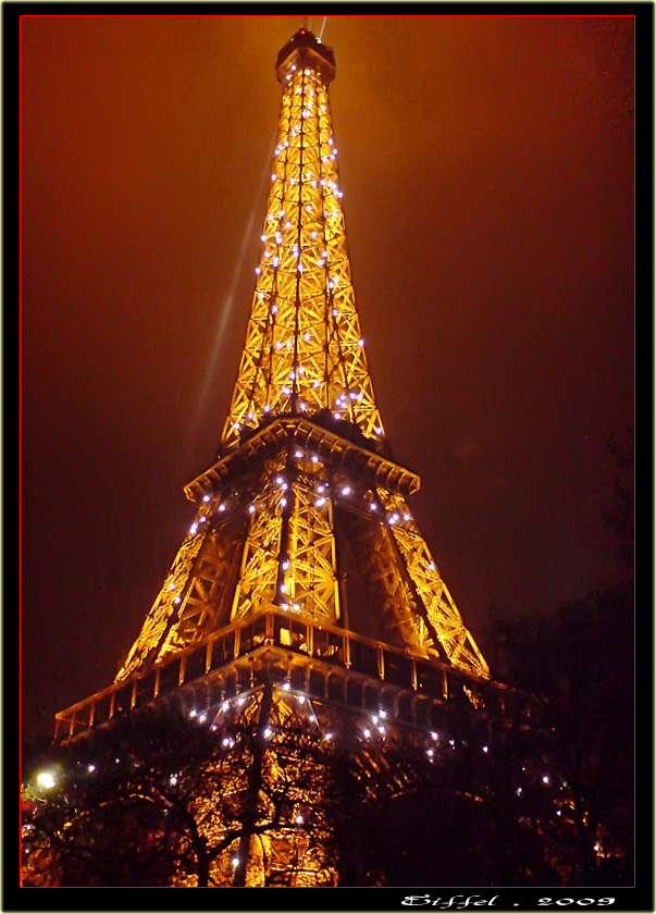 Eiffel Halleri 5