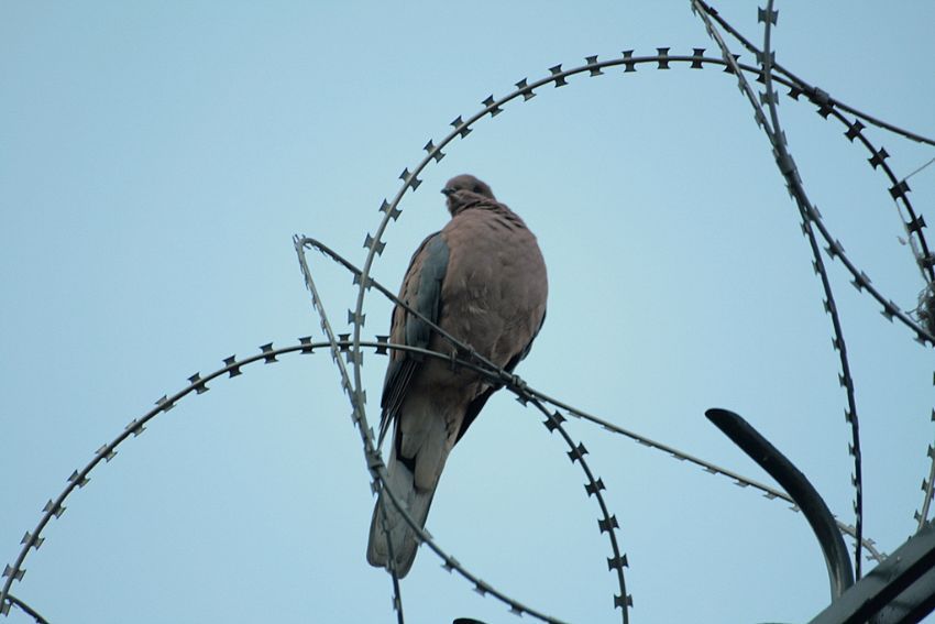 �zg�rl��e Bak��