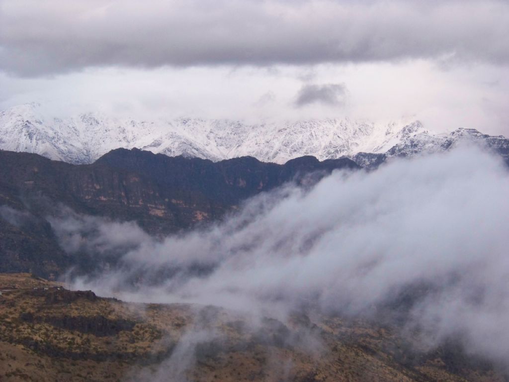 Hakkari dalar