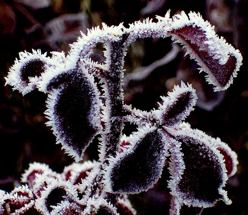 k gzellikleri 4......