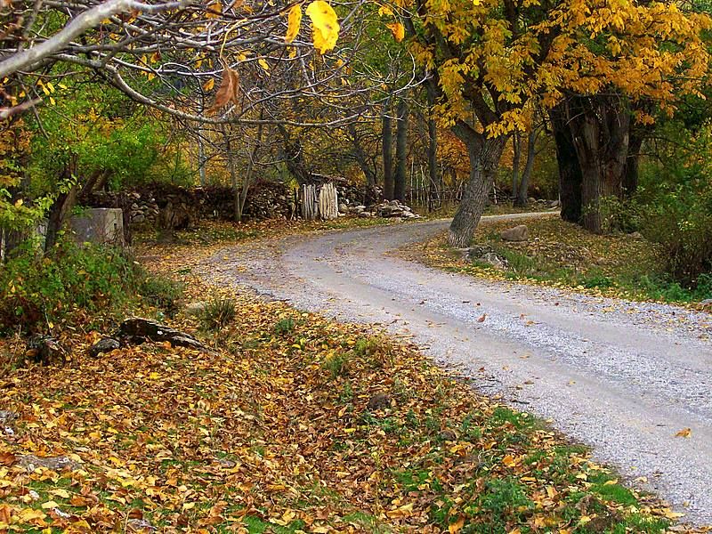 BR  SONBAHAR..........