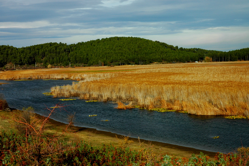 Buldan Sleymanl yaylas