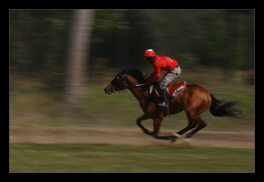 Zafer at yarlar