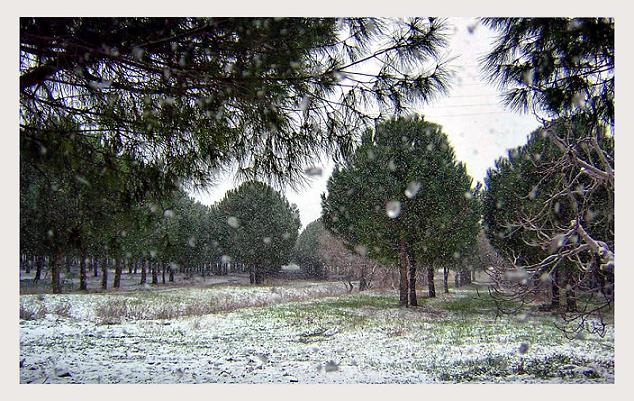 Bornova'da kar