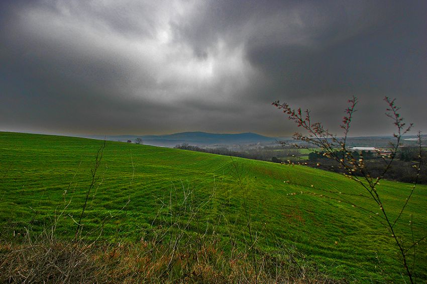 Renklerin ��inden