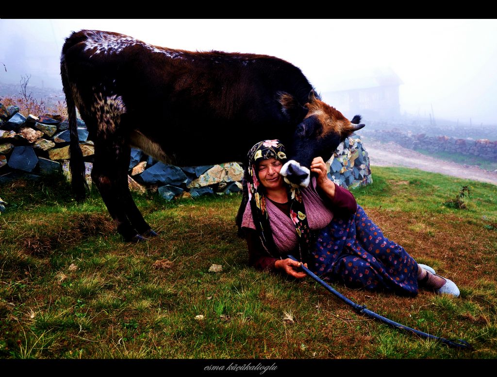 sevginin yaln hali....