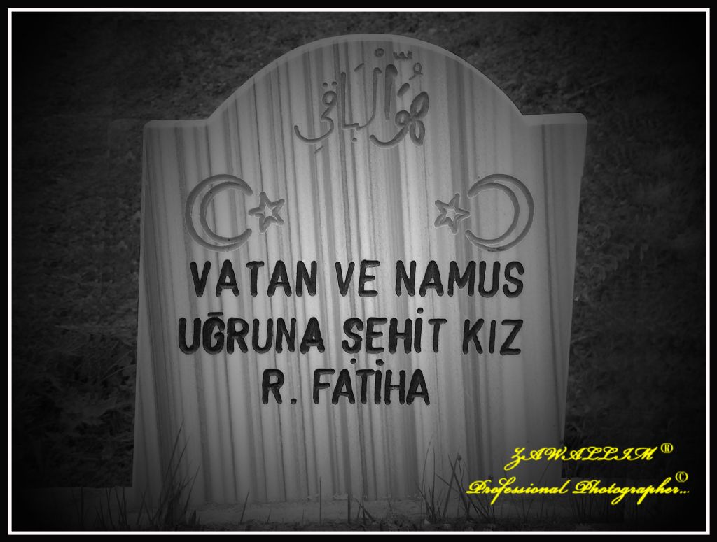 CANLARINI VERD�LER