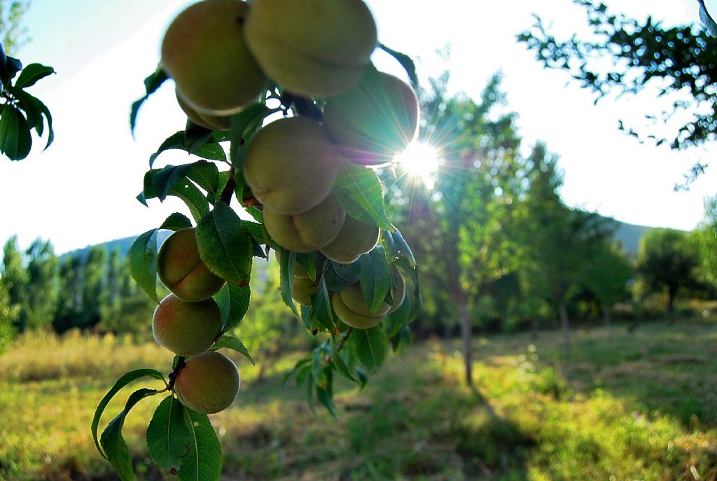 g�ne� olmal� hep..