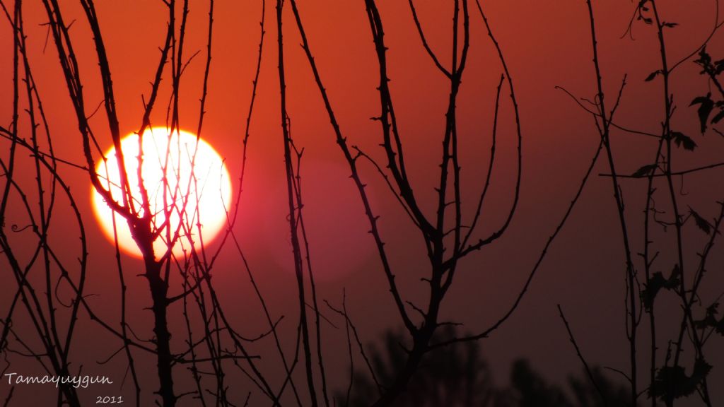 G�ne�in k�z�ll���