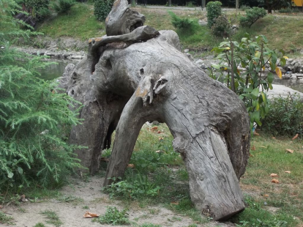 SANK� DEV B�R KERTENKELE