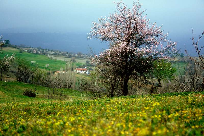 k�tahya-emette bahar