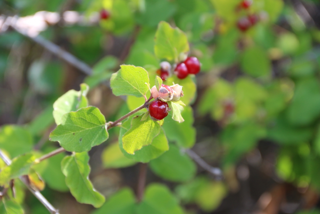 �LK MACRO DENEMEM...