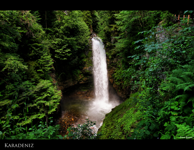 Karadeniz