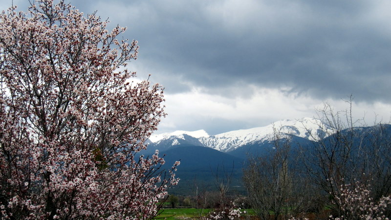 Bozda ve bahar