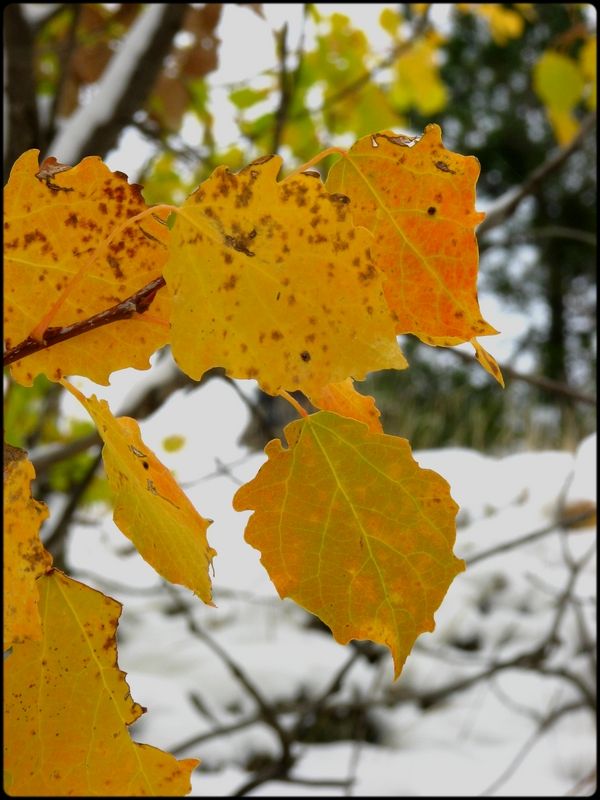 Karagl Manzaralar (2)