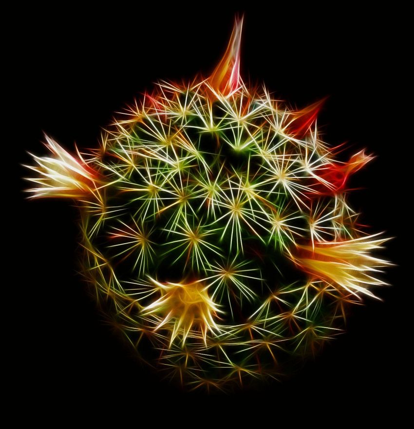 Dream Of Fractal Eternity