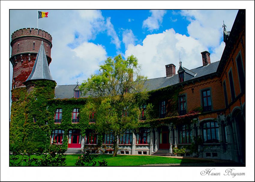 Sarayin  Bahcesi  ((Wijnendalen ))