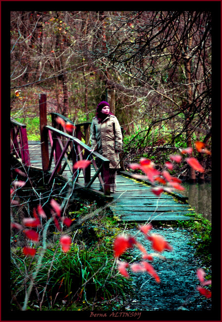 Do�An�N ReNkLer�