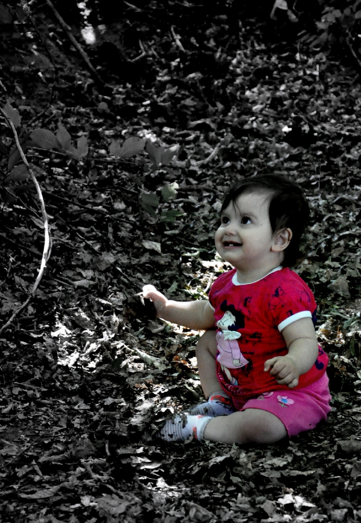 Can�m�n Yar�s�