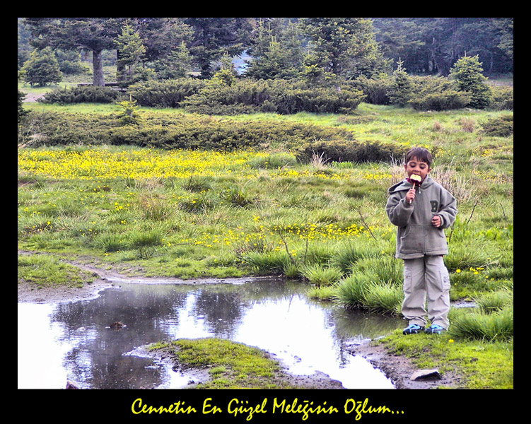 CENNETN EN GZEL MELESN OLUM