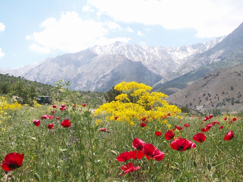 yurdumuzdan 4 mevsim